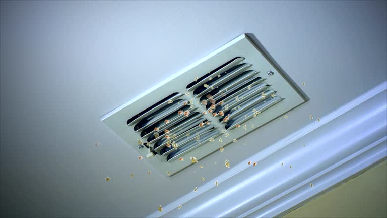 Best Ductwork Cleaning Services  in Val Verde, CA